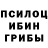 Галлюциногенные грибы GOLDEN TEACHER Aysha Erkesarieva