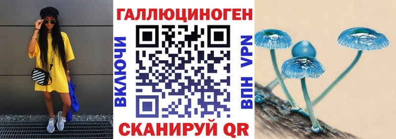 купить наркоту  Чехов  Псилоцибиновые грибы прущие грибы 