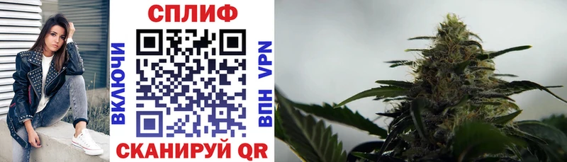 Бошки Шишки Bruce Banner Чехов
